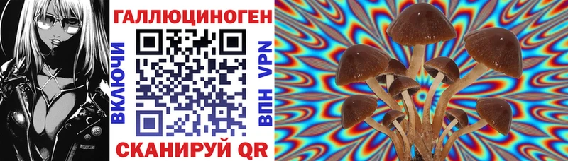 как найти закладки  ссылка на мегу рабочий сайт  Псилоцибиновые грибы мухоморы  Альметьевск 