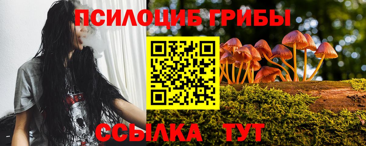 Галлюциногенные грибы MAGIC MUSHROOMS  Альметьевск  Псилоцибиновые грибы прущие грибы 