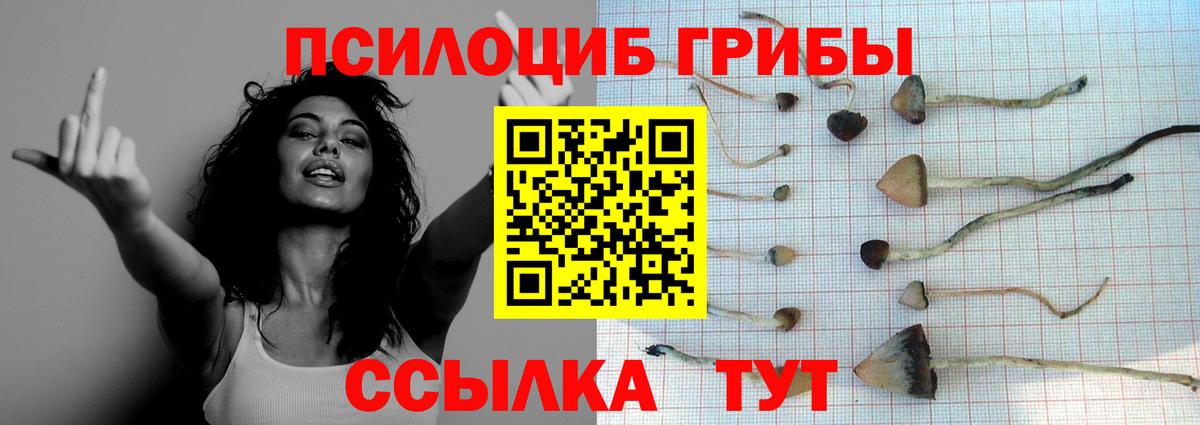 Псилоцибиновые грибы GOLDEN TEACHER Альметьевск
